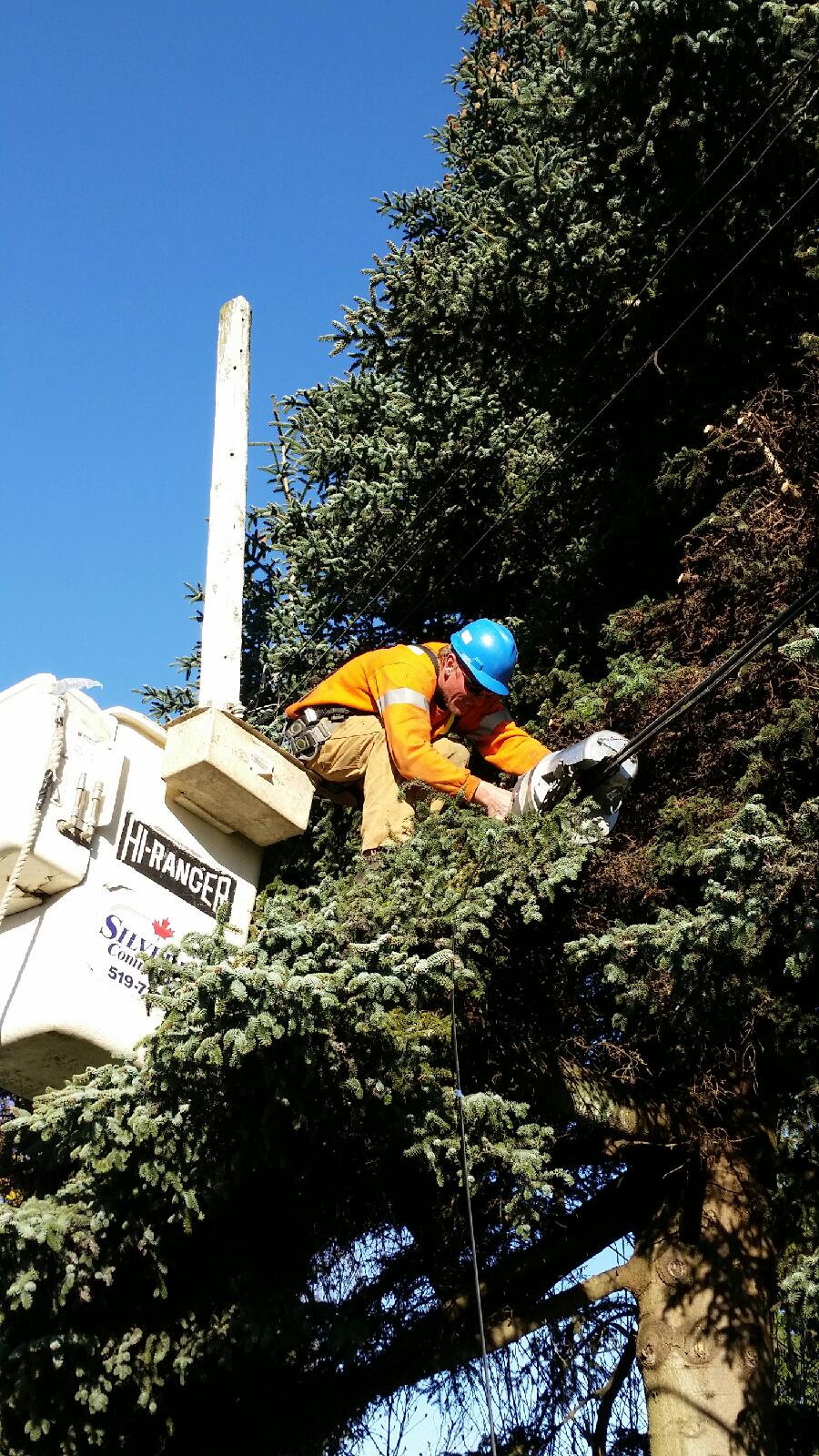 lineman climbing out of bucket for stuck lasher