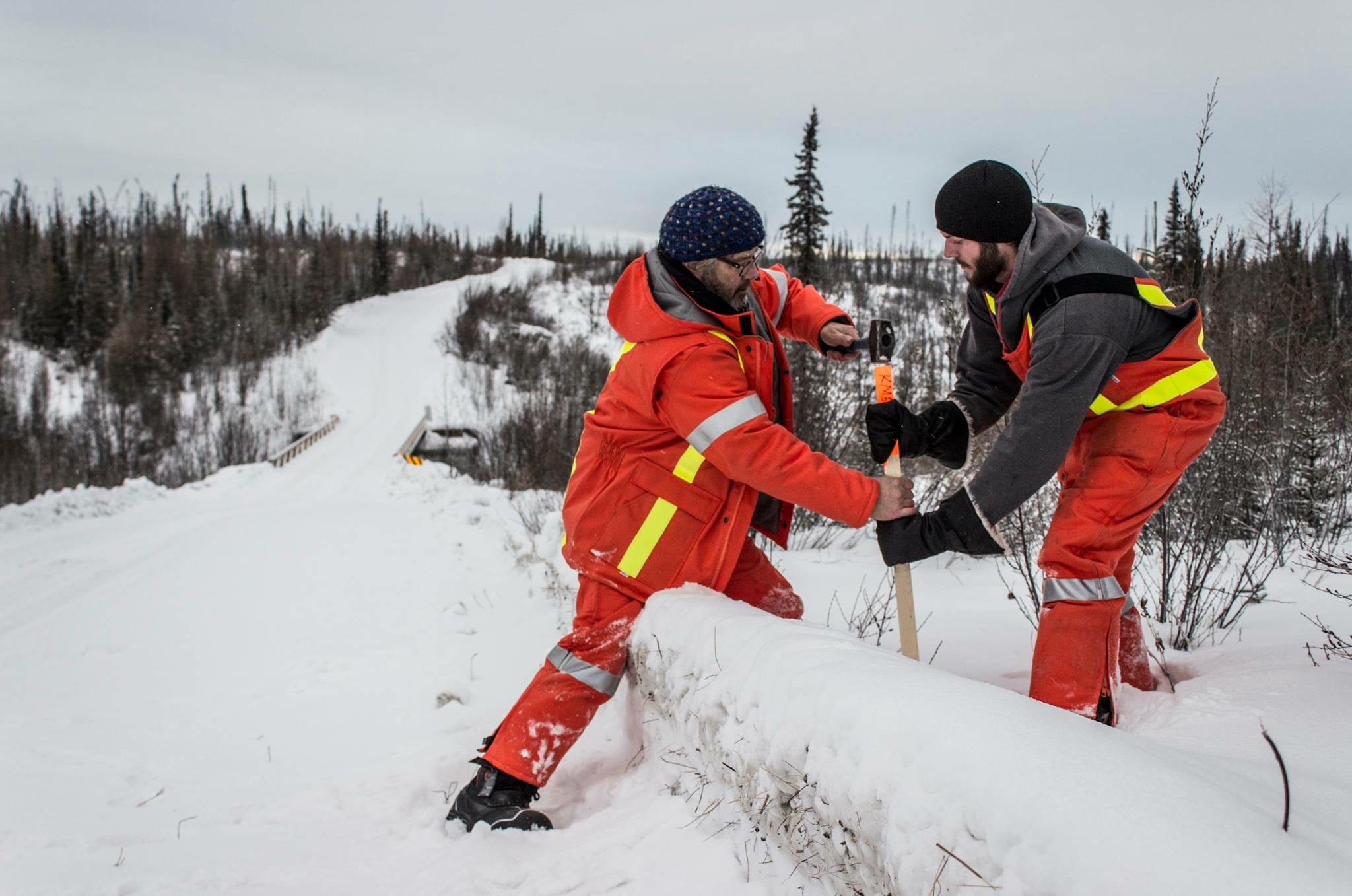 crew placing stakes in the NorthWest